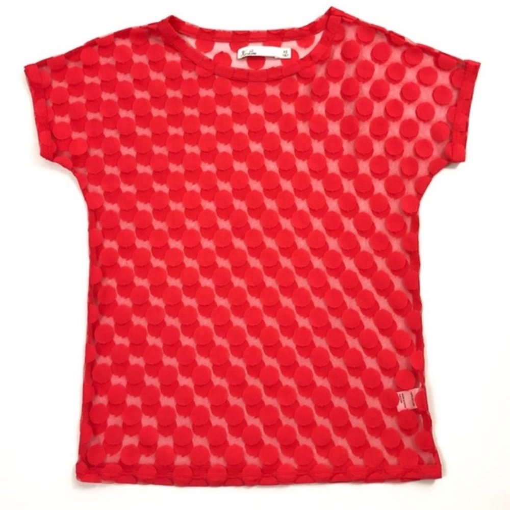 Sheer Polka Dot Mesh Top